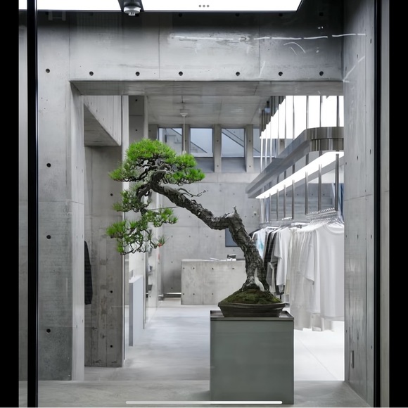 Maje divided light denim - Picture 14 of 16